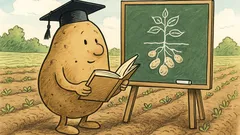 Witz: Wo bildet sich eine Kartoffel weiter?